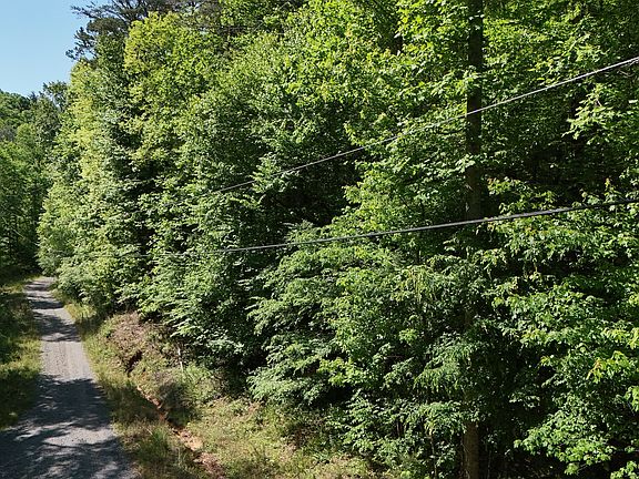 4th image of 0 Gold Springs Rd