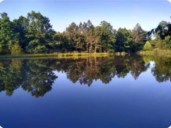 0 Pine Tree Rd, Oxford, AR 72565
