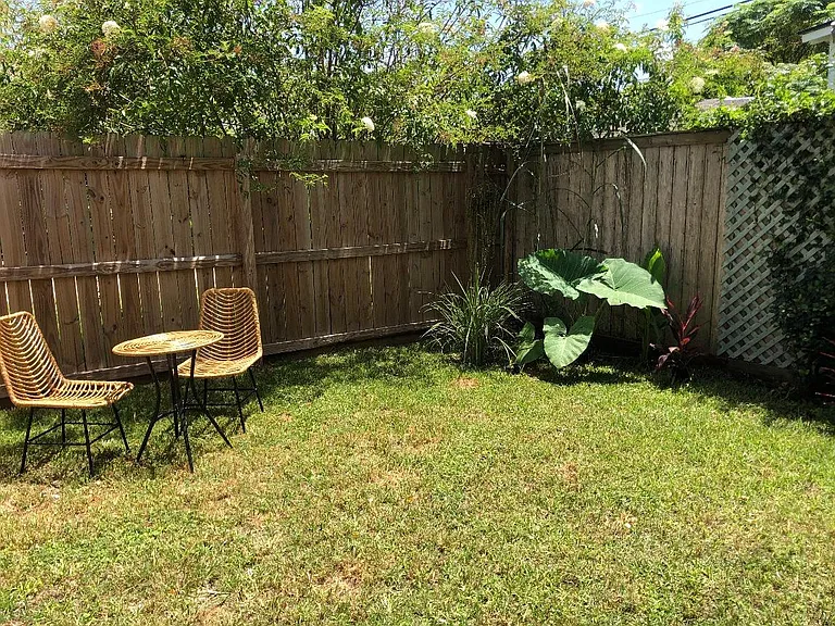 backyard!