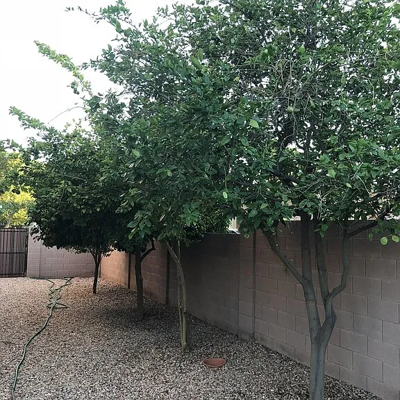 9828 W Sydney Way — Photo 10
