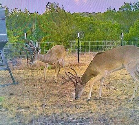 2nd image of High Lonesome Rd