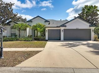 12628 Stanwyck Cir, Tampa, FL 33626