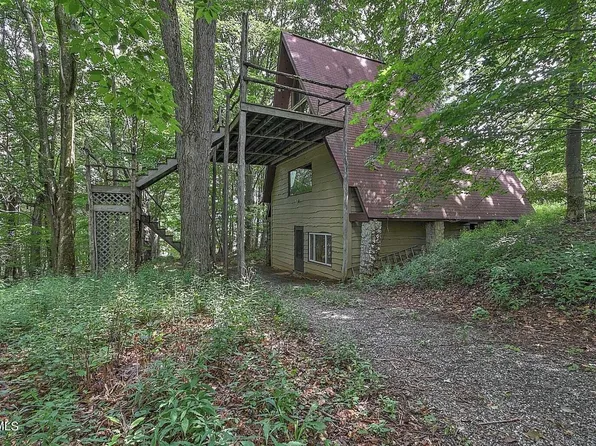 270 Roanwood Rd, Roan Mountain, TN 37687