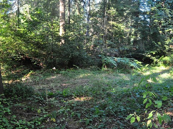 2nd image of 501 E Twanoh Falls Dr