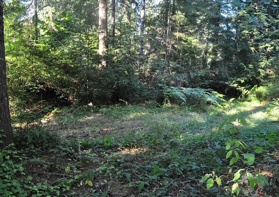 501 E Twanoh Falls Dr, Belfair, WA 98528 Zillow