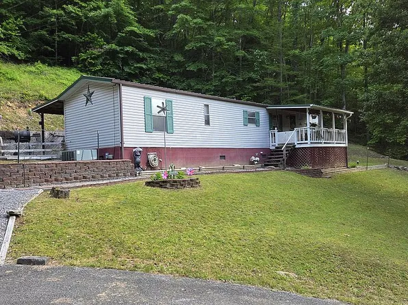 221 Polemic Run Rd, Birch River, WV 26610