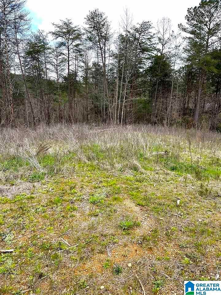 1126 Long Branch Pkwy 160, Calera, AL 35040 Zillow