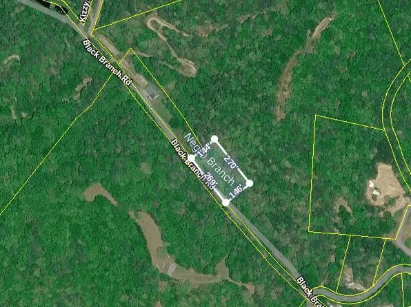 760 Black Branch Rd, Del Rio, TN 37727