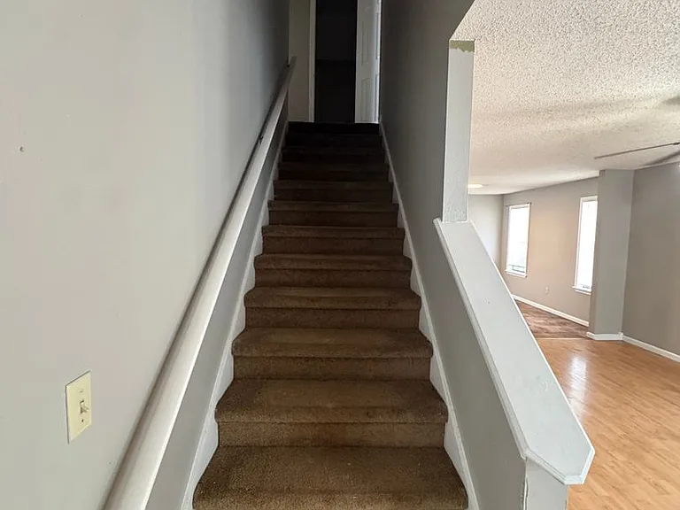 2508 Bonnie Jean Pl — Photo 12