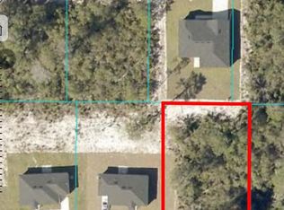 0 Malauka Pass Dr #5, Ocklawaha, FL 32179