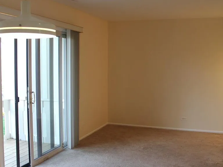 1054 Deerpath Ct — Photo 6