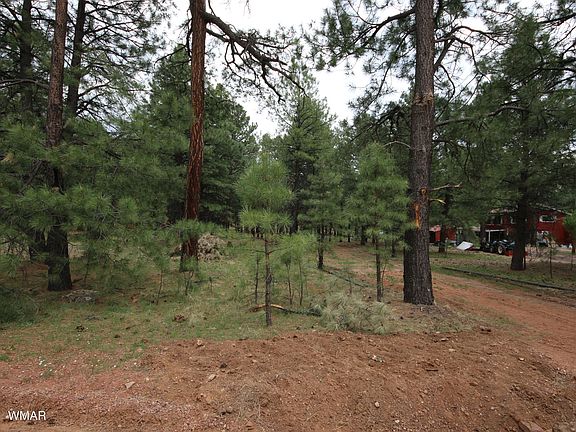 4th image of 1371 Mineral Dr