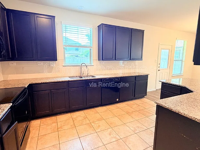 11439 Impressive Way — Photo 10