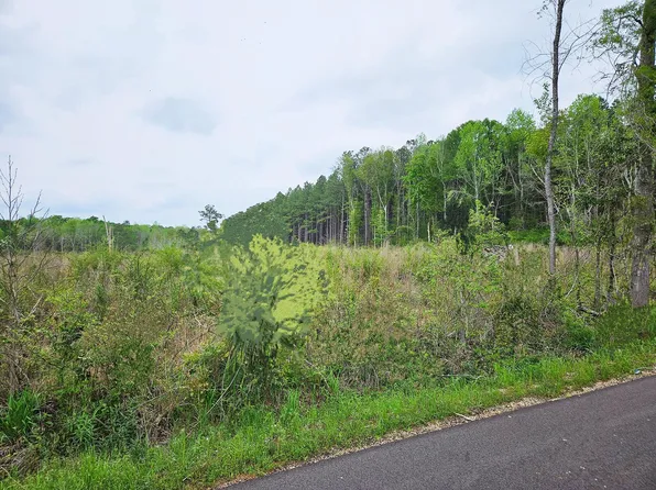 44 Jack Hall Rd, Mount Olive, MS 39119