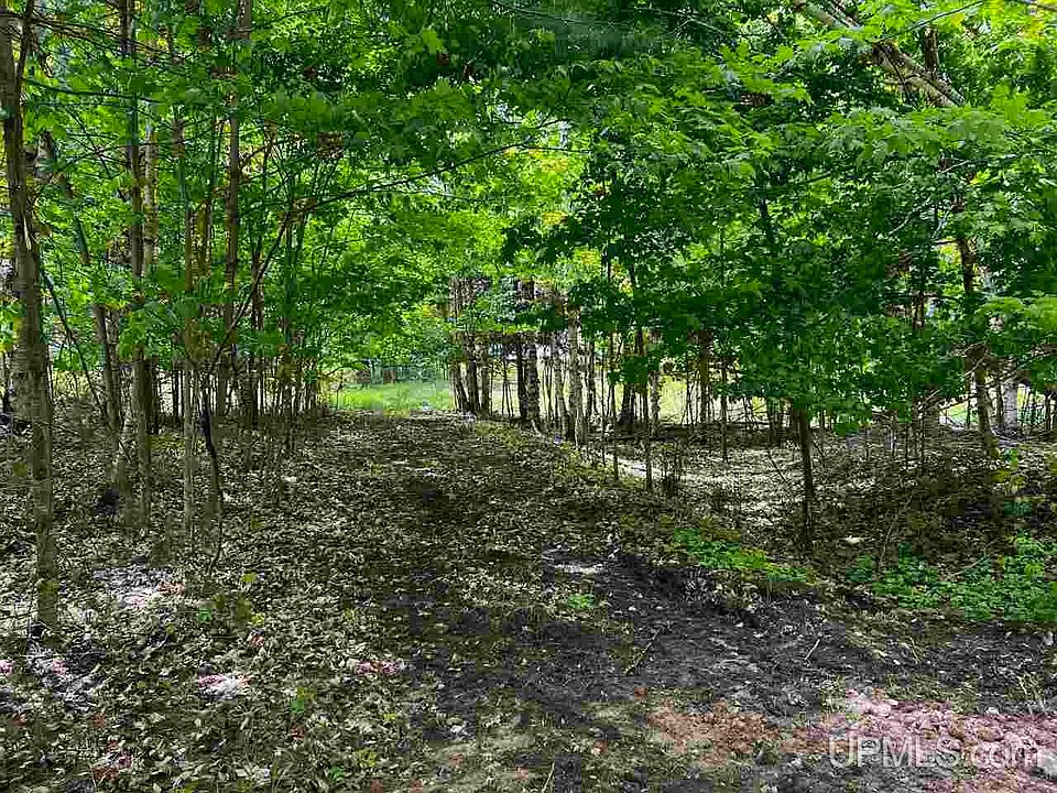 W Smith Lake Rd, Manistique, MI 49854 Zillow