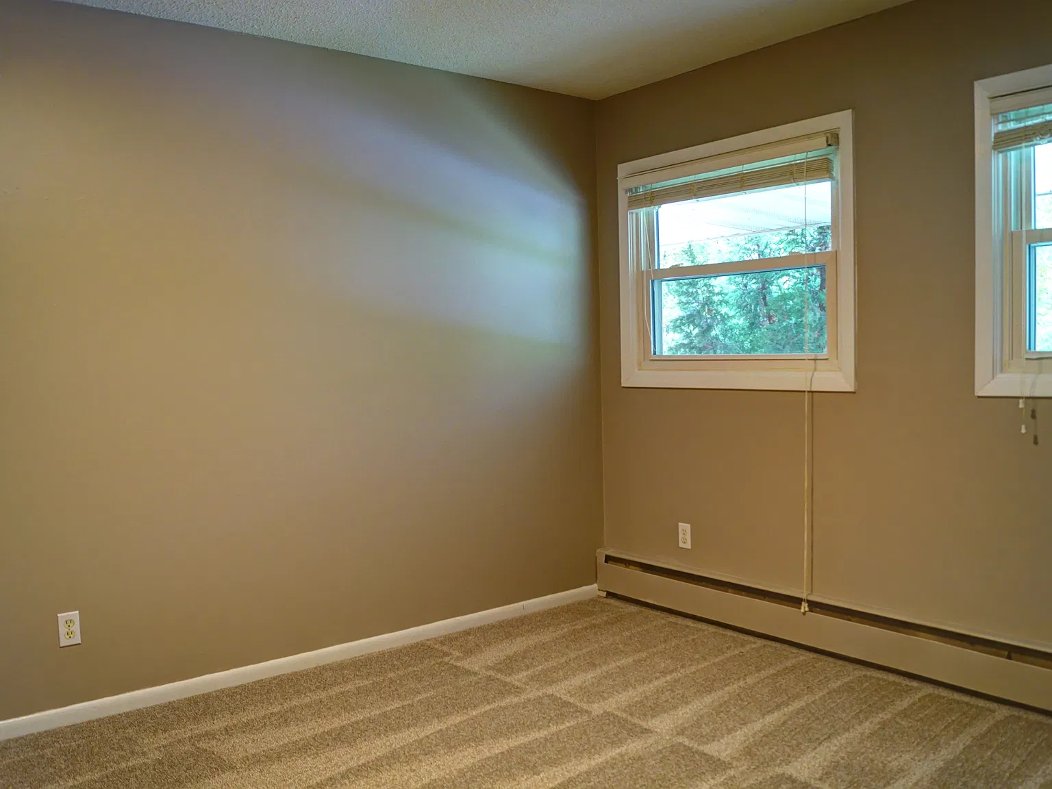 1 bed, 800 sqft, $1,330 — Photo 3