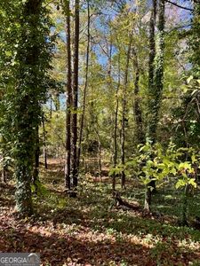3021 Delmar Ln SW, Atlanta, GA, 30311