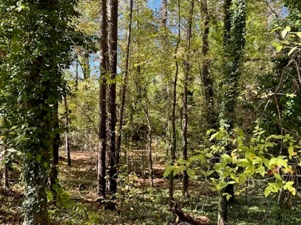 3021 Delmar Ln SW, Atlanta, GA 30311