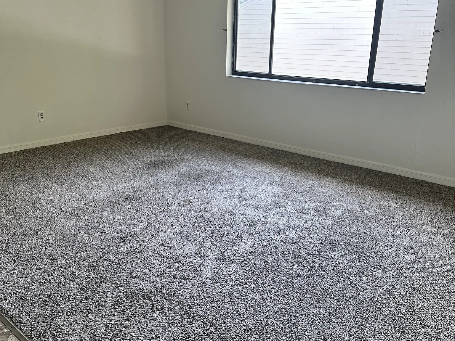 901 Hickory Street - 203 — Photo 3