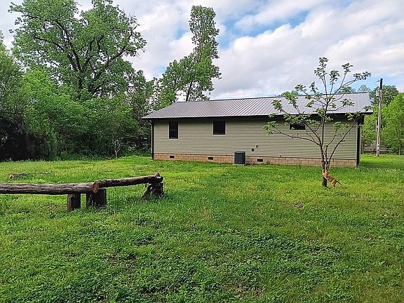 Back yard 