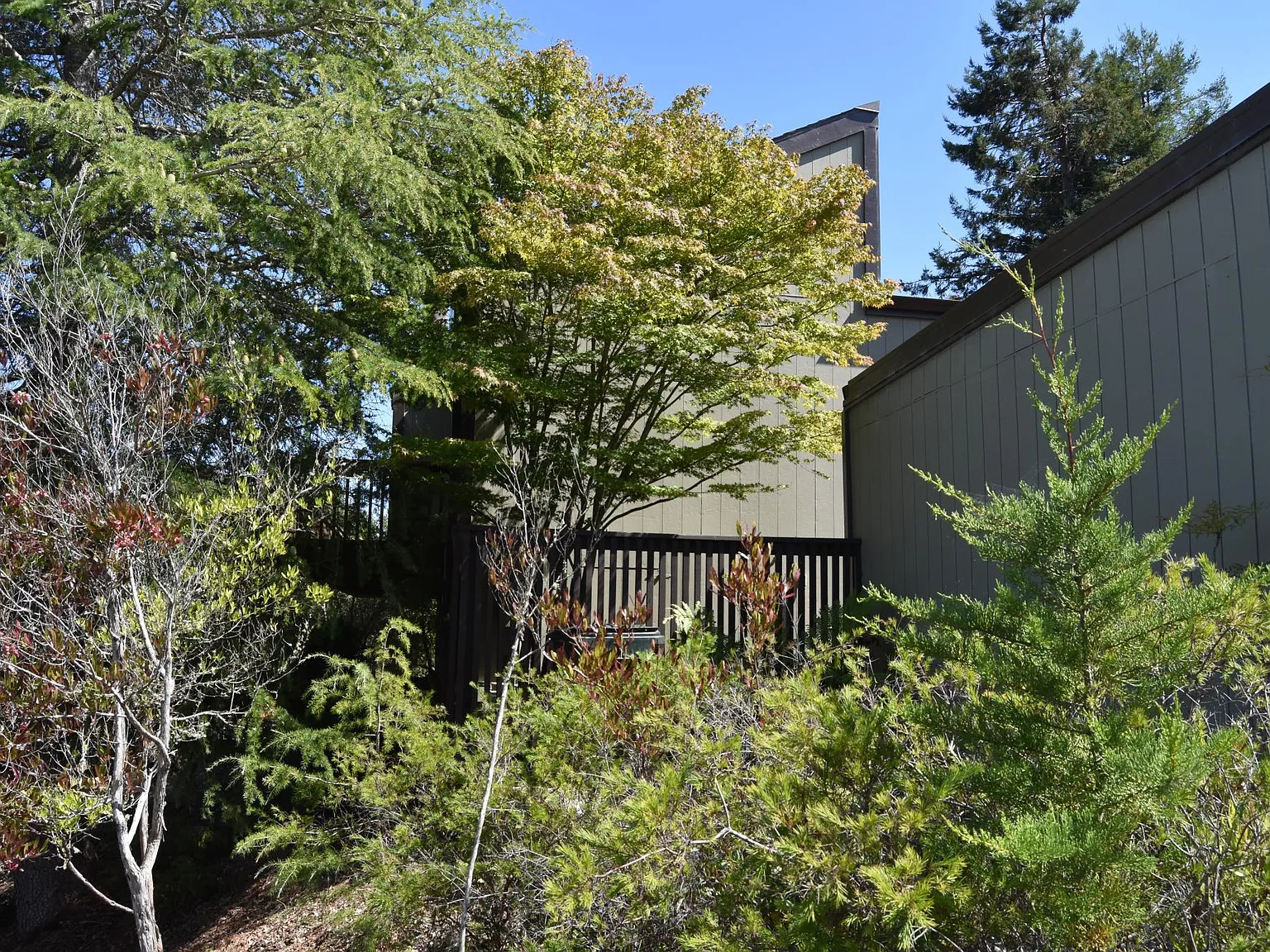 3 bed, 1642 sqft, $6,600 — Photo 2