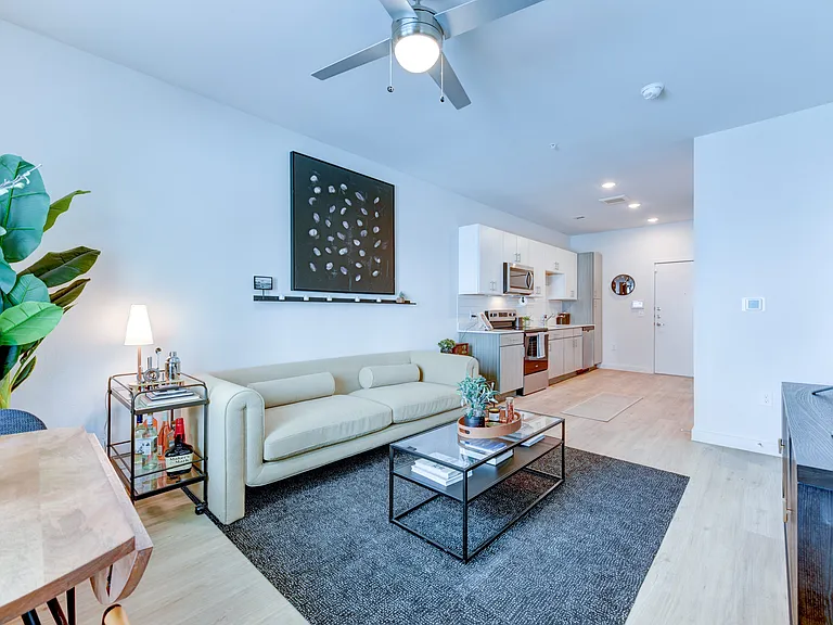 Park South — Photo 34