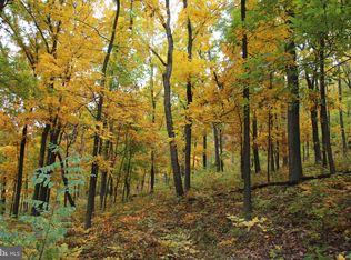 Moorehead Rd, Gore, VA 22637