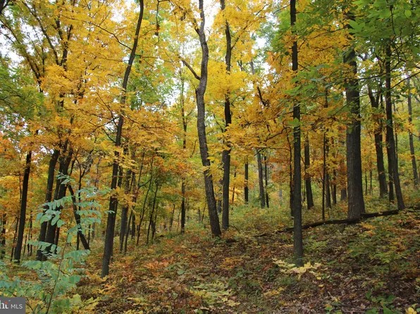 Moorehead Rd, Gore, VA 22637