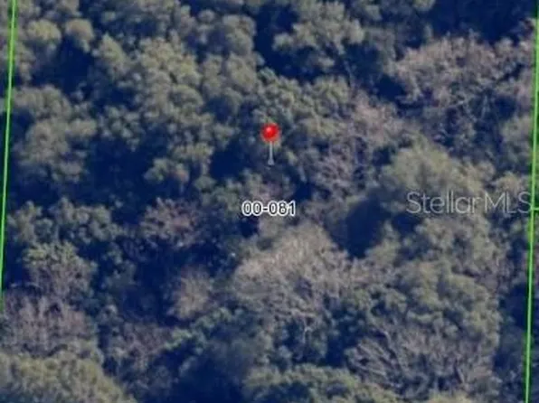 Terrell Rd Lot 81, Mount Dora, FL 32757