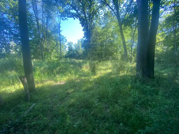 Pinecrest Dr, Jonesville, MI 49250