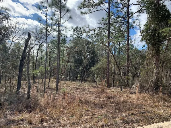 SE 2nd St Lot 12, Williston, FL 32696