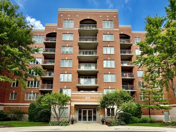 390 Western Ave #204, Des Plaines, IL 60016