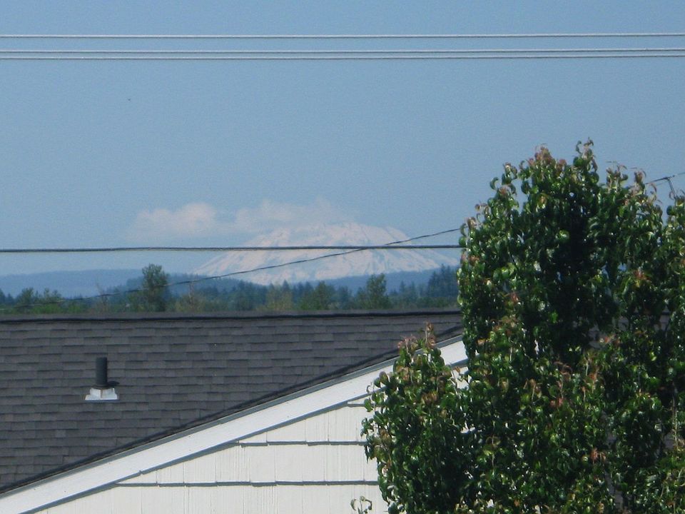view of Mt St Helens bdrm2