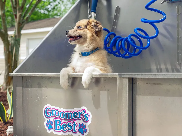 Our dog wash station adds convenience to pet-friendly apartment living. Keeping your pup fresh and clean has never been easier!