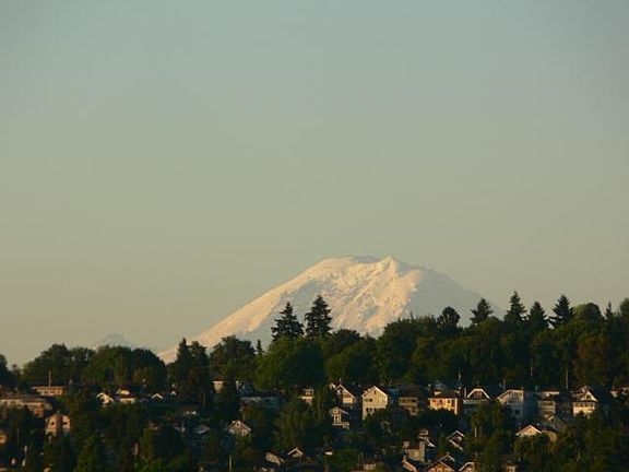 Mt. Rainier view