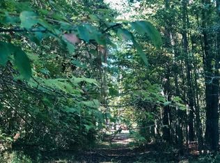 218 Back Acres Rd, Chapin, SC 29036