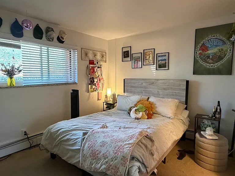 Downstairs bedroom 1