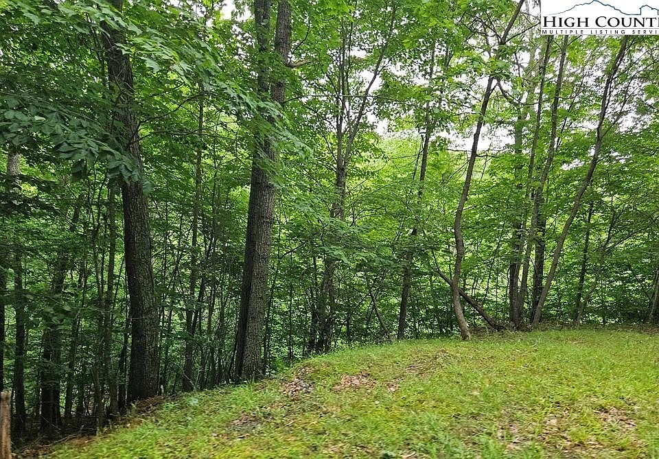 2nd image of TBD Mountain View Road