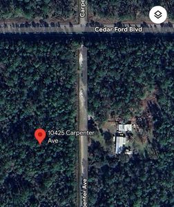 10425 Carpenter Ave, Hastings, FL, 32145