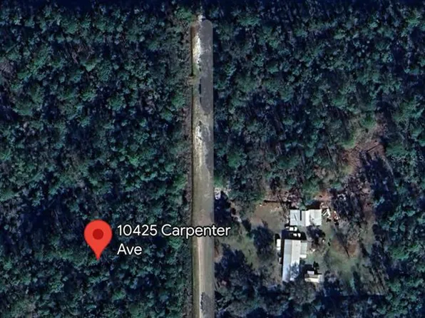 10425 Carpenter Ave, Hastings, FL 32145