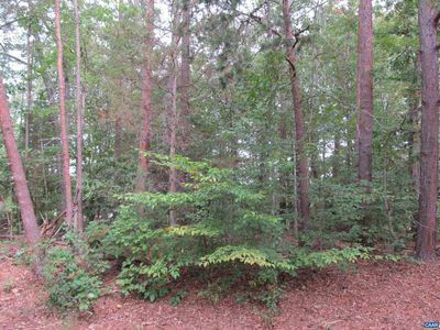 10 Englewood Dr, Palmyra, VA, 22963