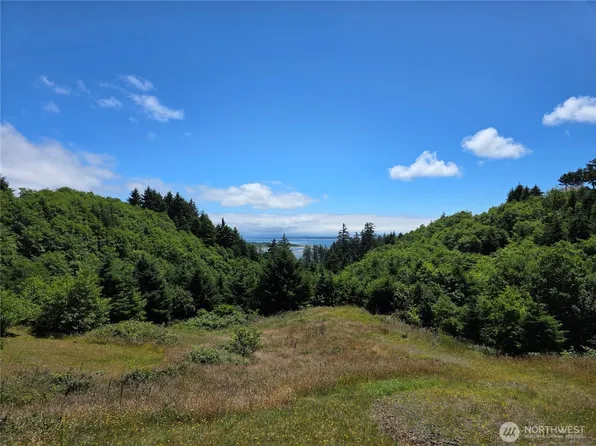 31 XX Discovery Court, Ilwaco, WA 98624
