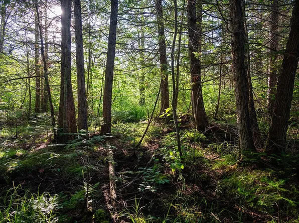 2 Old Plank #Au, Munising, MI 49862