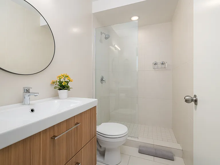 Shower bath