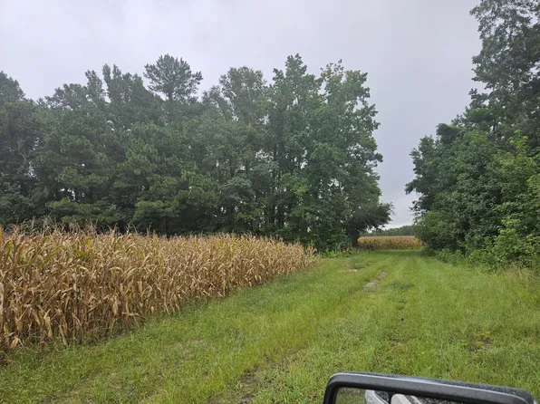 Marion Church Rd, Salters, SC 29590