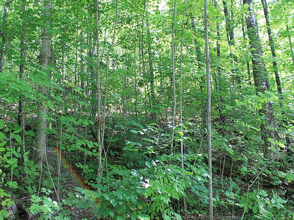 4th image of LOT 25 Alpine Shores Dr