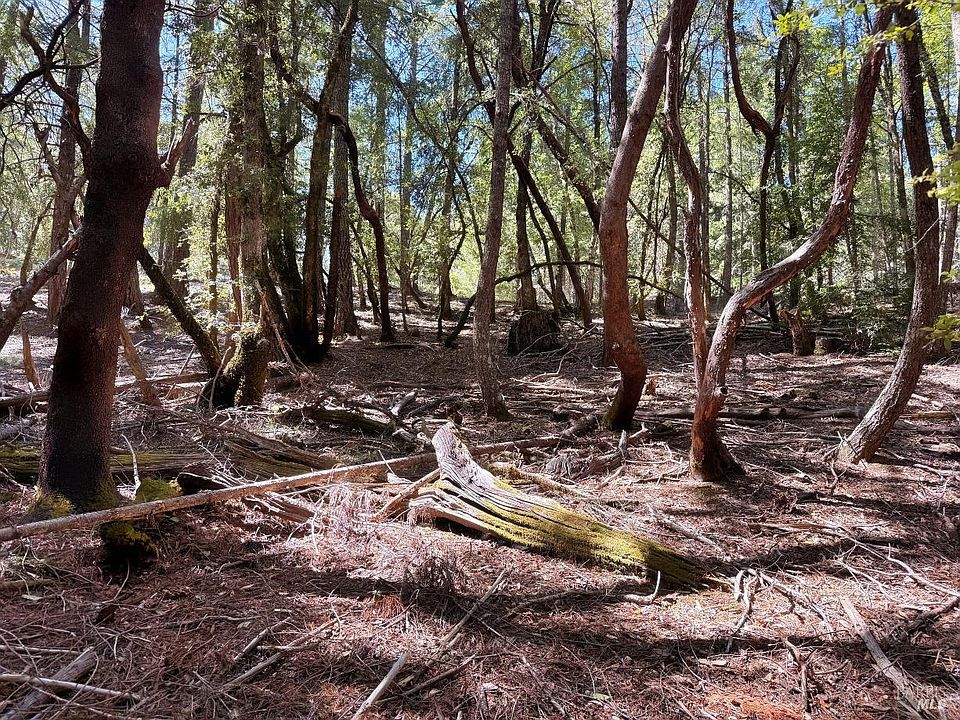 1st image of 4541 Blue Lake Road