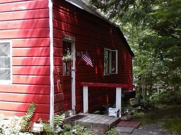 281 Stock Ln, Inlet, NY 13360