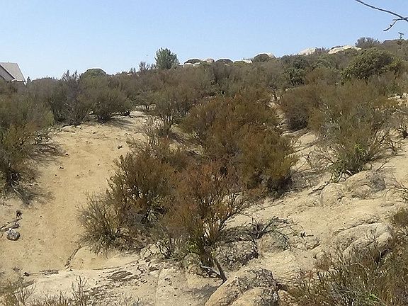3rd image of 48596 Lake Canyon Dr