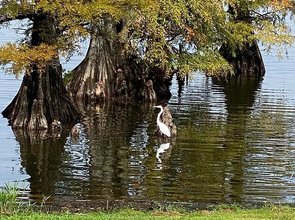 612 Caddo Lease Rd, Mooringsport, LA 71060